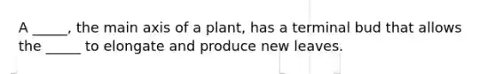 A _____, the main axis of a plant, has a terminal bud that allows the _____ to elongate and produce new leaves.