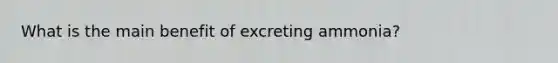 What is the main benefit of excreting ammonia?