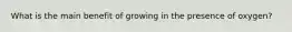What is the main benefit of growing in the presence of oxygen?