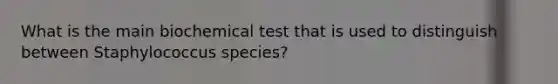 What is the main biochemical test that is used to distinguish between Staphylococcus species?