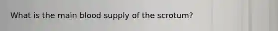 What is the main blood supply of the scrotum?