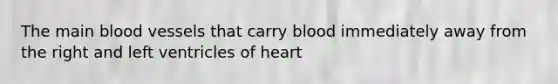 The main blood vessels that carry blood immediately away from the right and left ventricles of heart