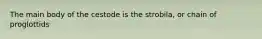 The main body of the cestode is the strobila, or chain of proglottids