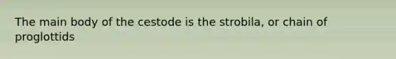 The main body of the cestode is the strobila, or chain of proglottids