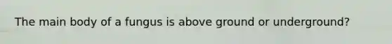 The main body of a fungus is above ground or underground?