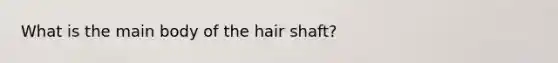 What is the main body of the hair shaft?