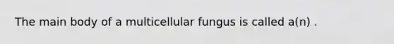 The main body of a multicellular fungus is called a(n) .