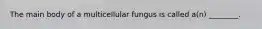 The main body of a multicellular fungus is called a(n) ________.