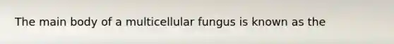 The main body of a multicellular fungus is known as the