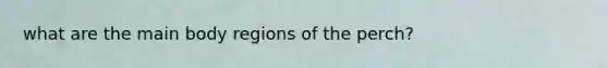 what are the main body regions of the perch?