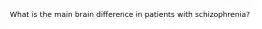 What is the main brain difference in patients with schizophrenia?