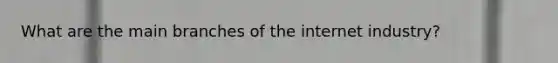 What are the main branches of the internet industry?