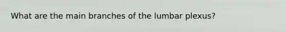 What are the main branches of the lumbar plexus?