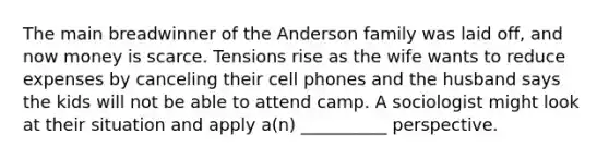 The main breadwinner of the Anderson family was laid off, and now money is scarce. Tensions rise as the wife wants to reduce expenses by canceling their cell phones and the husband says the kids will not be able to attend camp. A sociologist might look at their situation and apply a(n) __________ perspective.