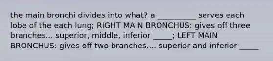 the main bronchi divides into what? a __________ serves each lobe of the each lung; RIGHT MAIN BRONCHUS: gives off three branches... superior, middle, inferior _____; LEFT MAIN BRONCHUS: gives off two branches.... superior and inferior _____