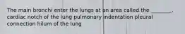 The main bronchi enter the lungs at an area called the ________. cardiac notch of the lung pulmonary indentation pleural connection hilum of the lung