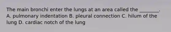 The main bronchi enter the lungs at an area called the ________. A. pulmonary indentation B. pleural connection C. hilum of the lung D. cardiac notch of the lung