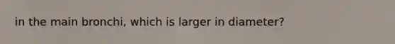 in the main bronchi, which is larger in diameter?