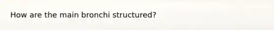 How are the main bronchi structured?