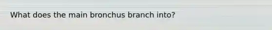 What does the main bronchus branch into?