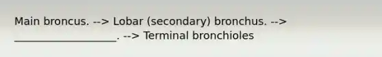 Main broncus. --> Lobar (secondary) bronchus. --> ___________________. --> Terminal bronchioles