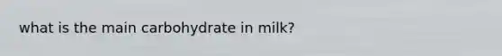 what is the main carbohydrate in milk?