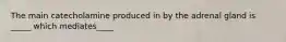 The main catecholamine produced in by the adrenal gland is _____ which mediates____