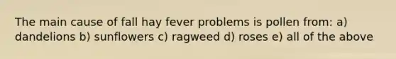 The main cause of fall hay fever problems is pollen from: a) dandelions b) sunflowers c) ragweed d) roses e) all of the above