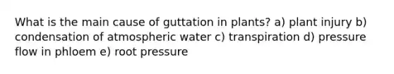 What is the main cause of guttation in plants? a) plant injury b) condensation of atmospheric water c) transpiration d) pressure flow in phloem e) root pressure