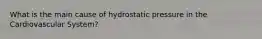 What is the main cause of hydrostatic pressure in the Cardiovascular System?