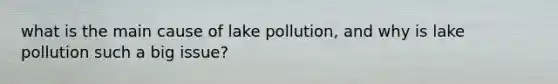 what is the main cause of lake pollution, and why is lake pollution such a big issue?