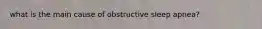 what is the main cause of obstructive sleep apnea?
