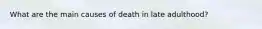 What are the main causes of death in late adulthood?