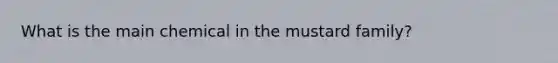 What is the main chemical in the mustard family?