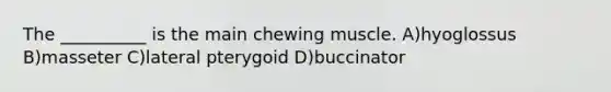 The __________ is the main chewing muscle. A)hyoglossus B)masseter C)lateral pterygoid D)buccinator