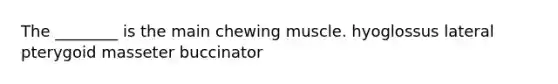 The ________ is the main chewing muscle. hyoglossus lateral pterygoid masseter buccinator