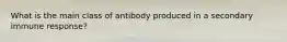 What is the main class of antibody produced in a secondary immune response?