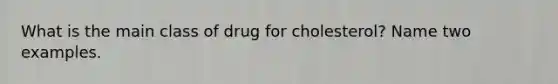 What is the main class of drug for cholesterol? Name two examples.