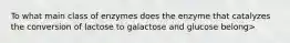 To what main class of enzymes does the enzyme that catalyzes the conversion of lactose to galactose and glucose belong>