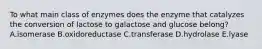 To what main class of enzymes does the enzyme that catalyzes the conversion of lactose to galactose and glucose belong? A.isomerase B.oxidoreductase C.transferase D.hydrolase E.lyase