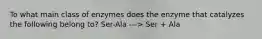 To what main class of enzymes does the enzyme that catalyzes the following belong to? Ser-Ala ---> Ser + Ala