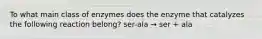 To what main class of enzymes does the enzyme that catalyzes the following reaction belong? ser-ala → ser + ala