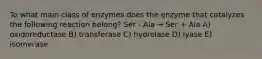 To what main class of enzymes does the enzyme that catalyzes the following reaction belong? Ser - Ala → Ser + Ala A) oxidoreductase B) transferase C) hydrolase D) lyase E) isomerase