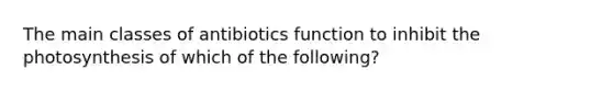 The main classes of antibiotics function to inhibit the photosynthesis of which of the following?