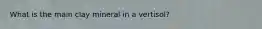 What is the main clay mineral in a vertisol?