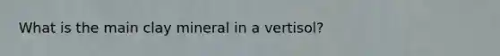 What is the main clay mineral in a vertisol?