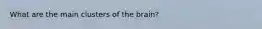 What are the main clusters of the brain?