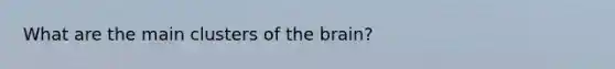 What are the main clusters of the brain?