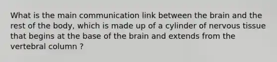 What is the main communication link between the brain and the rest of the body, which is made up of a cylinder of nervous tissue that begins at the base of the brain and extends from the vertebral column ?