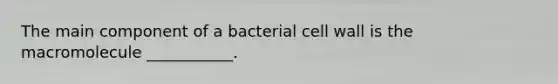 The main component of a bacterial cell wall is the macromolecule ___________.